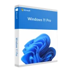 Windows 11 Pro OEM - Licenta Permanenta